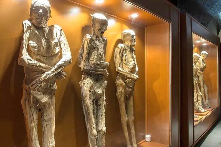 FGE decidirá si cuerpo momificado hallado en Celaya puede exhibirse en el Museo de las Momias