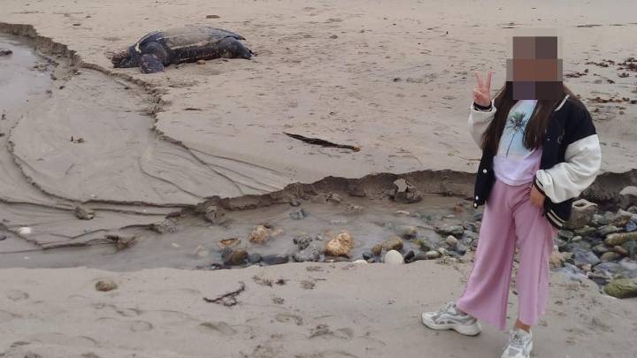 Una tortuga marina de 300 kilos aparece varada en una playa de Arteixo