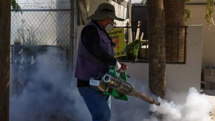 Secretaría de Salud confirma: no hay muertes por dengue en Sonora