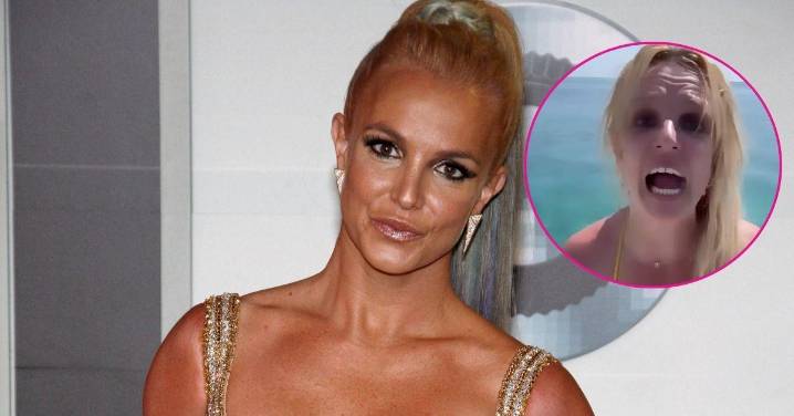 Bikini-Clad Britney Spears Reveals She's Scared of Heights and Screams Expletives in Strange Clip: Watch