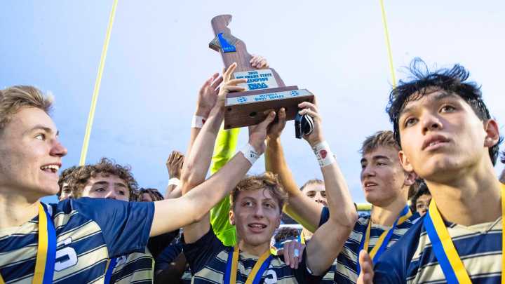 Salesianum tops Caesar Rodney to take DIAA D