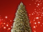 Home Depot finally has the twinkling Christmas tree you keep seeing on your social feed in stock