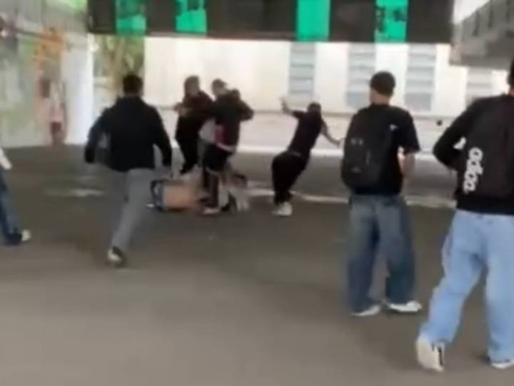 Violenta pelea en un colegio de La Plata: un joven entró al patio, agredió a estudiantes y una preceptora resultó herida