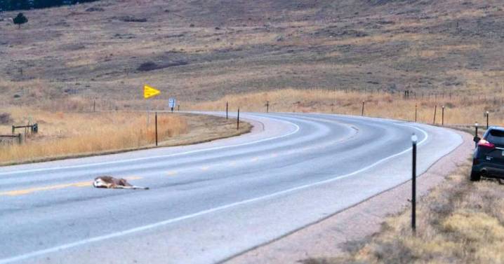 G&F authorization required to recover road