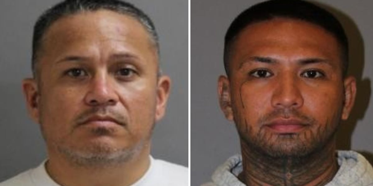 ‘Serious red flags’: Title theft scheme halted by suspicious realtor