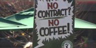 Madison baristas join in on 120+ store Starbucks union strike