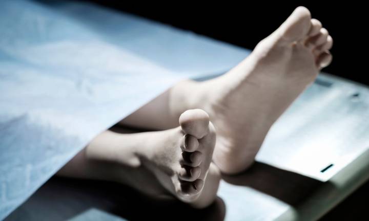 First-Year B.Pharm Student Killed in Medchal Road Accident