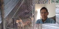 Imputan a hombre que tenía 14 perros albergados sin alimento ni agua, en Cali: uno murió y los otros se estaban alimentando de sus restos