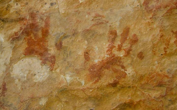 Neandertales practicaron 'canibalismo selectivo' con mujeres y niños en el norte de Europa