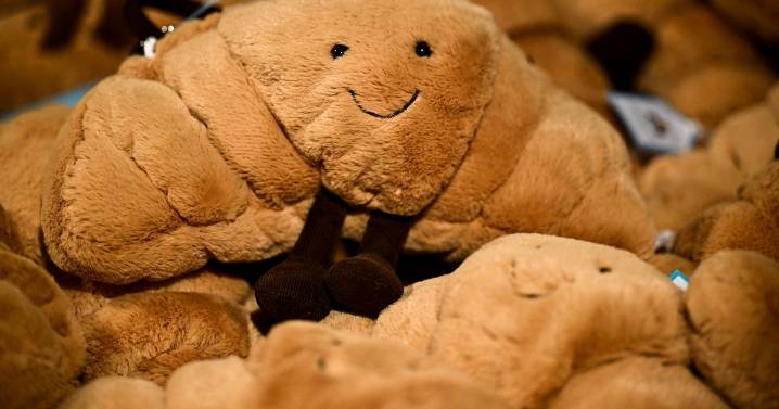 Shopper scores 'rare' items in charity shop for just £2