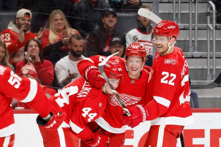 Red Wings in first place after 20 games: What's worked, what questions remain
