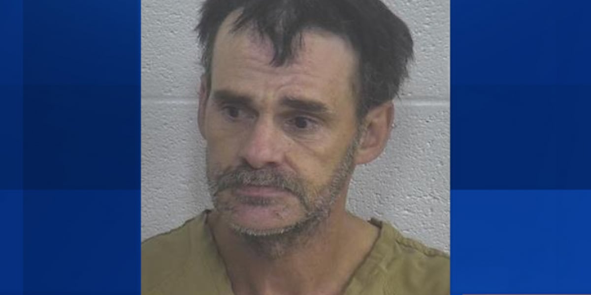 Traffic stop leads to drug arrest