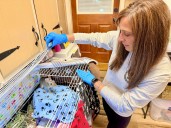 One animal at a time in Westport