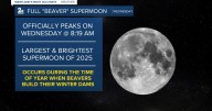 November's full "Beaver" supermoon