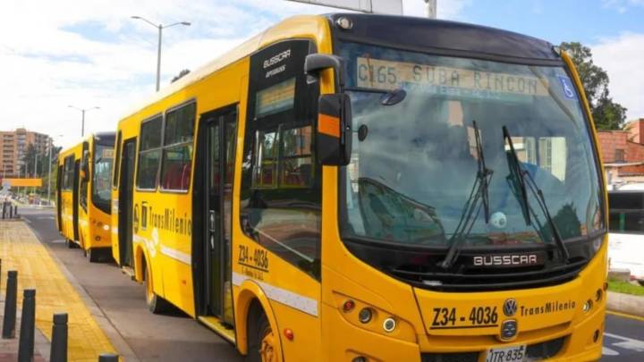 Así funcionan los dos nuevos TransMiZonal que benefician a miles cada día: conozca los paraderos