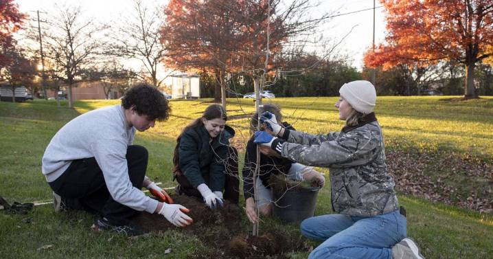 Program prioritizes increasing Frederick tree canopy, training youth