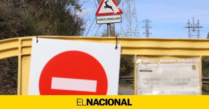 La UME se desplaza hacia Collserola para controlar el brote de peste porcina