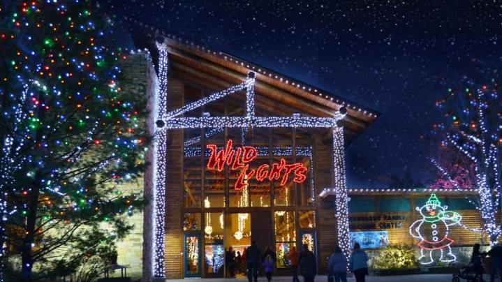 Christmas season at the Akron Zoo: Wild Lights event returning for 10th year with 'reimagined look'