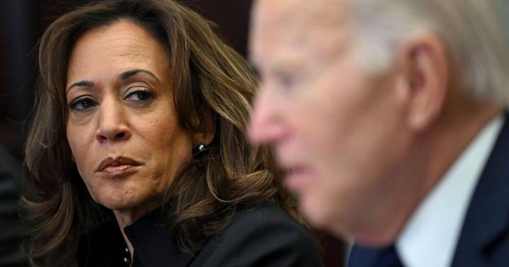 Kamala Harris 'dueling' with Bidens after book wars