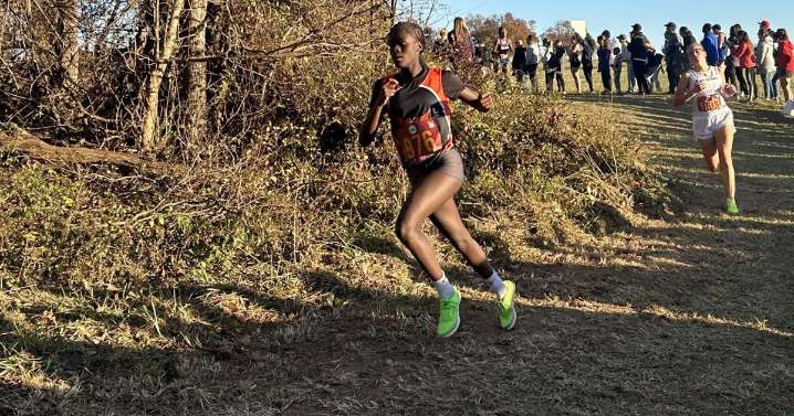 Local Roundup: Hawks sweep into 4A volleyball semifinals