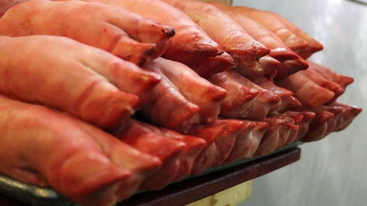 México frena importación de cerdo tras brote de peste porcina africana: estos productos no podrán ingresar