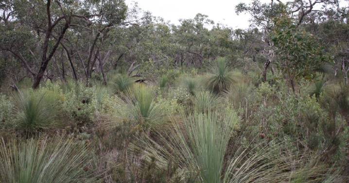 Tragic end to the search for a missing man last seen in Old Erowal Bay