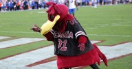 College football mascots just as good at keeping their identities secret as firing up a crowd