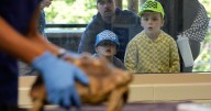 Visitors to a New Jersey zoo get to watch veterinarians treat the animals