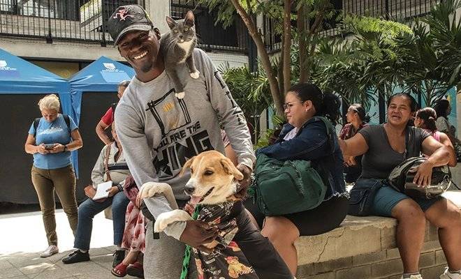 El Centro de Bienestar Animal divulga las cinco enfermedades más comunes