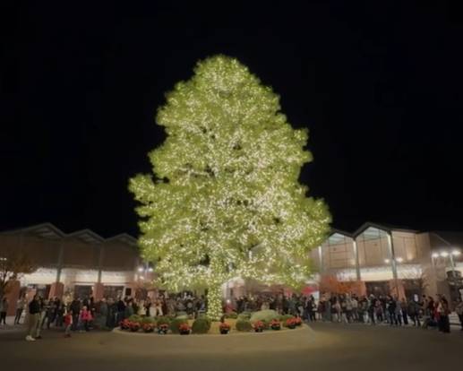 4 places to see holiday tree lighting in Arizona