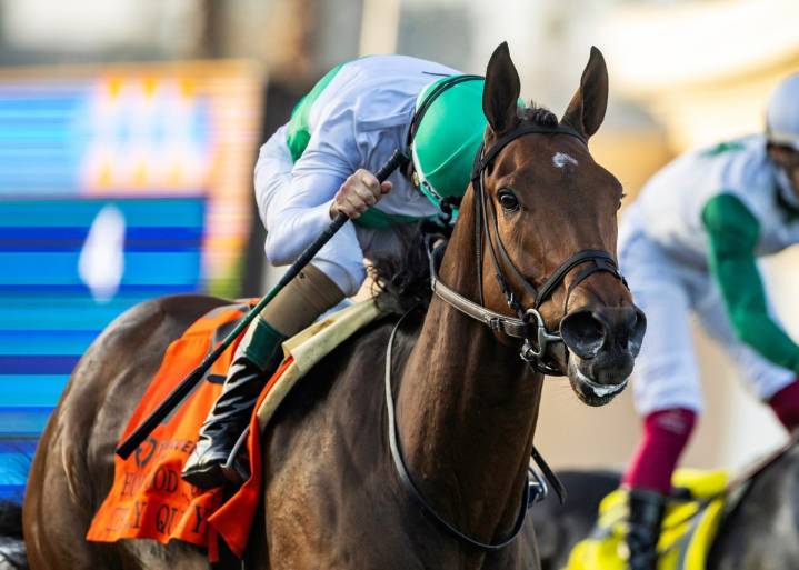 ‘Unbelievable horse’ rallies to win Hollywood Turf Cup at Del Mar