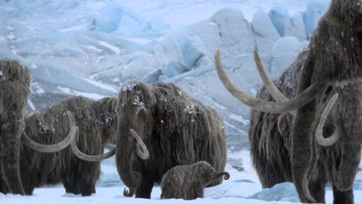 How to watch 'Prehistoric Planet: Ice Age' online – get 54% off with Apple TV's Black Friday mega