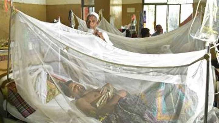 Bangladesh: Five more people die of dengue, 2025 death toll crosses 280