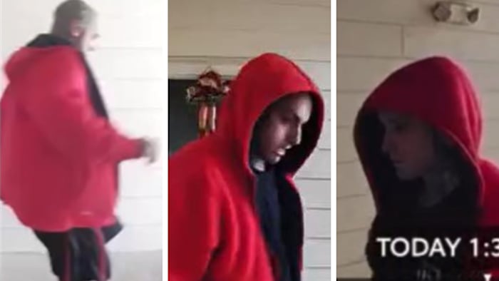 Have you seen him? Police seek man seen strangling kitten on surveillance video