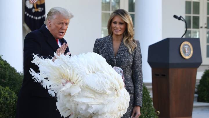 Trump perdona a dos pavos en tradicional ceremonia en la Casa Blanca antes de Thanksgiving