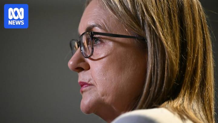 Victoria will introduce adult jail sentences for children, but experts warn it won't fix youth crime