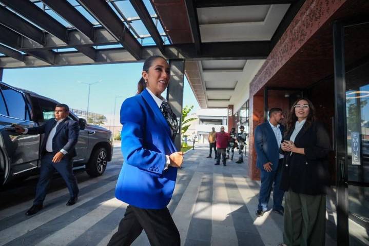 Guanajuato refuerza fronteras por violencia en Michoacán