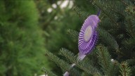 Where to find a locally grown, real Christmas tree