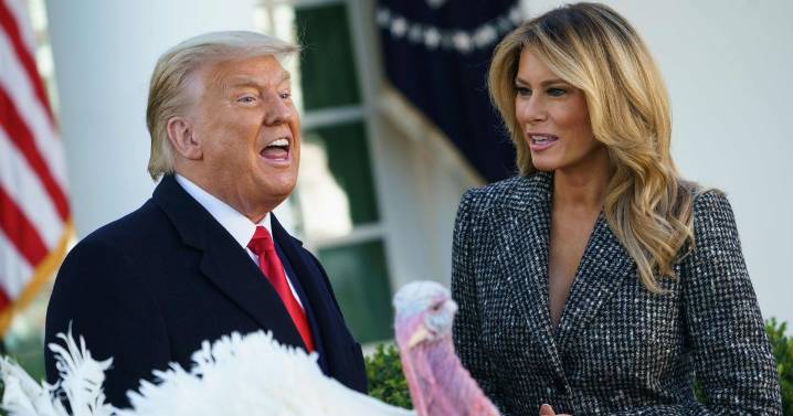 Melania Trump 'will never leave' husband Donald Trump for this chilling reason, ex