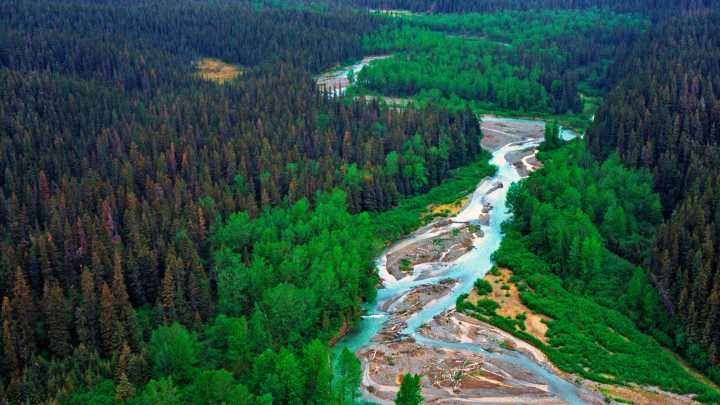 Lucrative Gold Mine Threatens This National Park's "Charismatic" Endangered Animals And Local Livelihoods