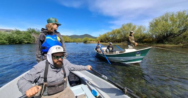 Un día en busca de la gran marrón del Chimehuín: historias, rituales y la magia de sacar una trucha