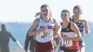 Cross country: Vassar's Schoenegge fifth, Brewers women take fifth
