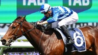 Vivy Air wins Five Diamonds: Reece Jones ride delivers Ciaron Maher