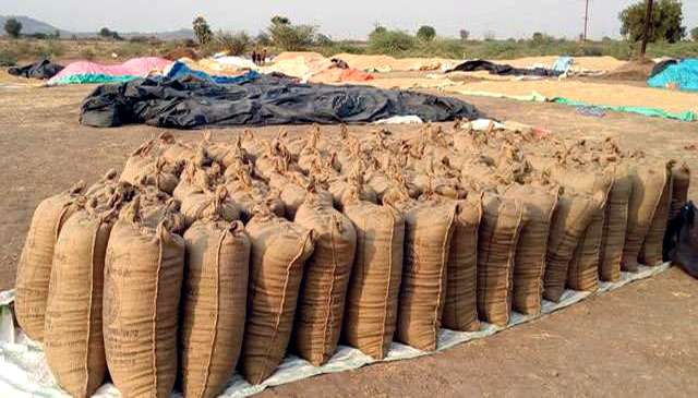 Farmers ‘scuffle’ with police in Odisha’s Bargarh over paddy procurement
