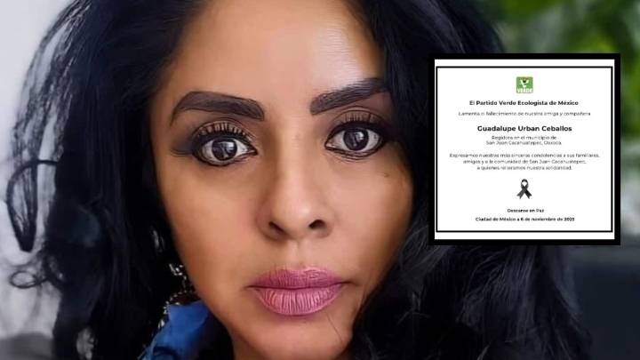 ¿Quién era Guadalupe Urban, regidora del Partido Verde asesinada en Oaxaca?