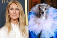 Celine Dion Shares Tribute to Viral Influencer Dog Tika the Iggy After Death