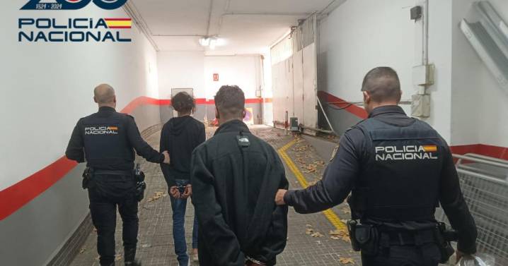 Dos arrestados por robos violentos en el Paseo Marítimo de Palma: Una de las víctimas quedó inconsciente y requirió ingreso hospitalario