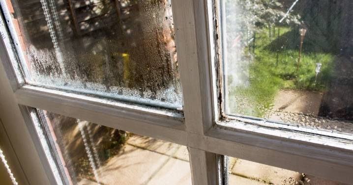 Condensation won't 'stick' to windows if you wipe the glass with a common household item