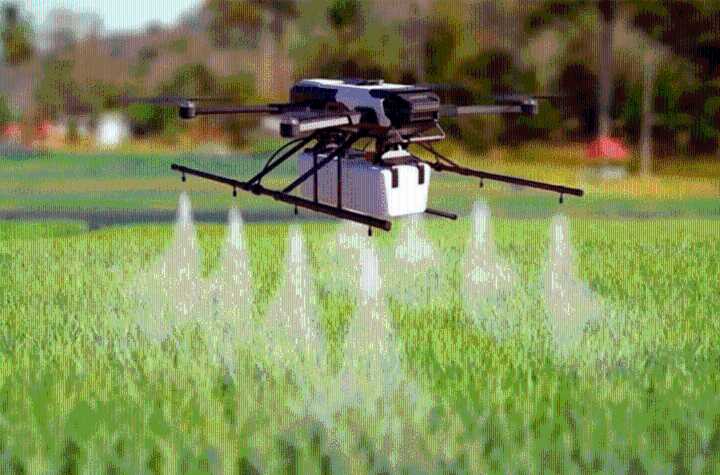 Vecinos de Colonia Ensayo denunciaron intento de fumigación cerca de un loteo