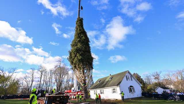Rockefeller Center Christmas tree heads to NYC